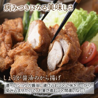 しょうが醤油から揚げ・手づくり餃子 各1パック  冷凍 新潟県 南魚沼市