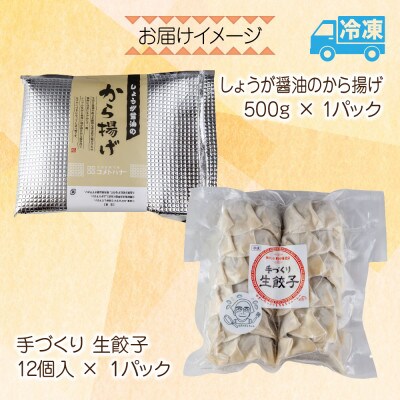しょうが醤油から揚げ・手づくり餃子 各1パック  冷凍 新潟県 南魚沼市