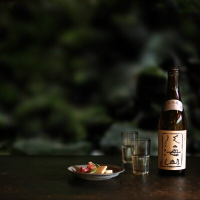 日本酒 八海山 純米大吟醸&大吟醸-720ml 名酒 飲み比べセット 食前・食中酒にオススメ