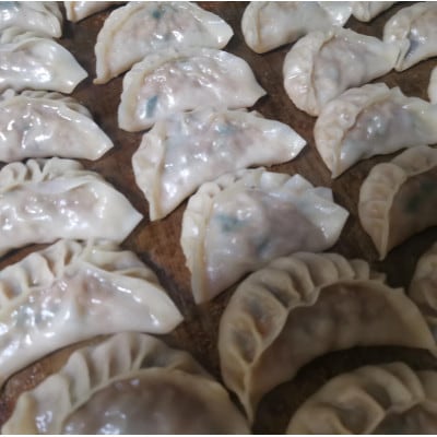 【南魚沼市】<手作り>八海山もち豚餃子 50個入り 南魚沼特産 舞茸入り 国産