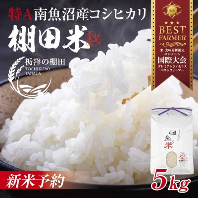 【令和6年産】 新潟県南魚沼 コシヒカリ 5kg 精米 日熊の米 棚田