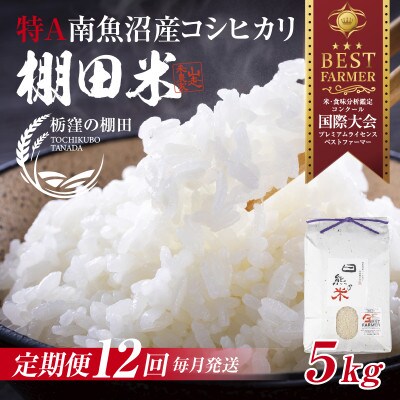 【毎月定期便】【産地限定 棚田米】 新潟県 南魚沼 コシヒカリ 5kg 精米 日熊の米 棚田全12回