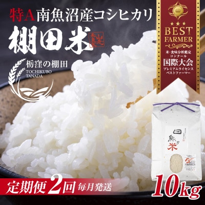 【毎月定期便】【産地限定 棚田米】 新潟県 南魚沼 コシヒカリ 10kg 精米 日熊の米 棚田全2回