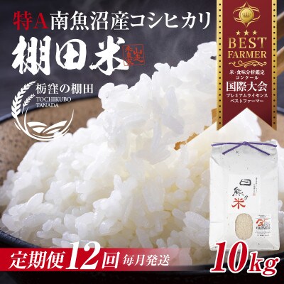 【毎月定期便】【産地限定棚田米】 新潟県 南魚沼 コシヒカリ 10kg 精米 日熊の米 棚田全12回