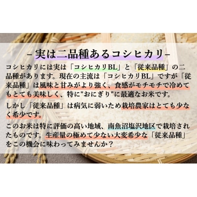 希少な南魚沼塩沢産従来コシヒカリ　精米5kg