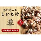 駒形農産のちびちゃんしいたけ　1.9kg
