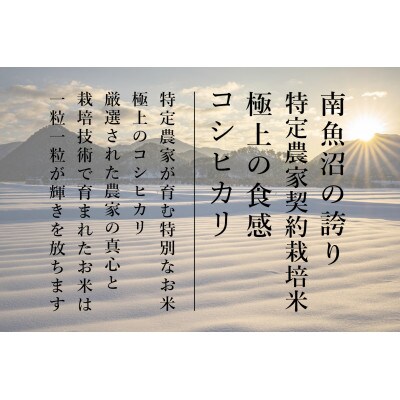 【毎月定期便】南魚沼産コシヒカリ食味コンテスト2年連続優秀賞受賞農家のこだわり米【2kg】全9回