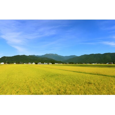 【毎月定期便】内閣総理大臣賞受賞農家がつくる幻の米　南魚沼産コシヒカリ　特A地区【10kg】全9回