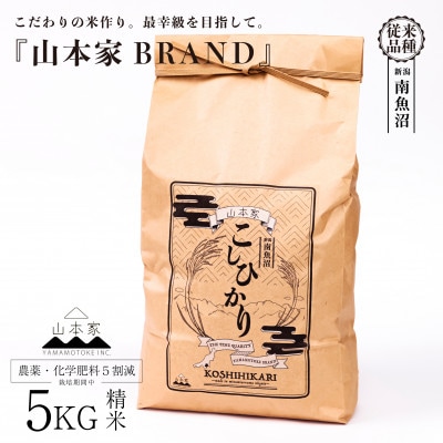 【R8年産】南魚沼産コシヒカリ精米5kg【従来品種】山本家