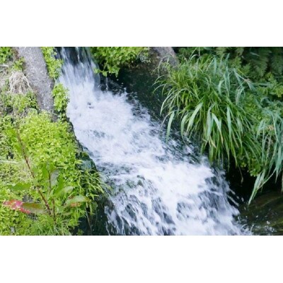 【R8年産新米予約】南魚沼産コシヒカリ精米5kg【従来品種】【令和8年10月上旬より順次発送】