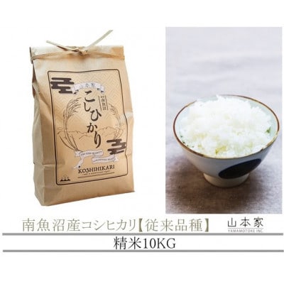 【R8年産新米予約】南魚沼産コシヒカリ精米10kg【従来品種】【令和8年10月上旬より順次発送】