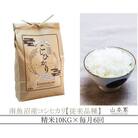 【発送月固定定期便】南魚沼産コシヒカリ山本家精米10kg【従来品種】10月下旬より順次発送全6回
