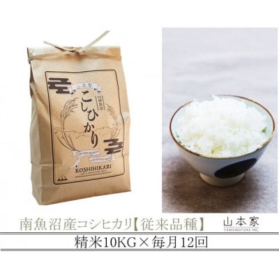 【毎月定期便】山本家 南魚沼産コシヒカリ 精米 10kg【従来品種】全12回