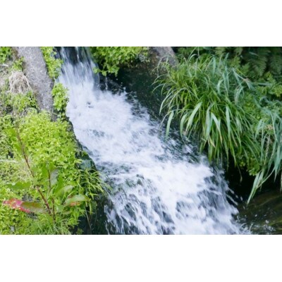 【毎月定期便】山本家 南魚沼産コシヒカリ 精米 10kg【従来品種】全12回