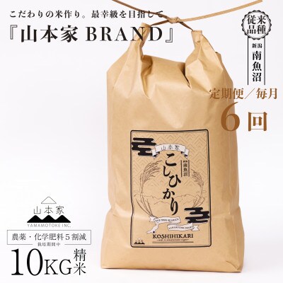 【発送月固定定期便】南魚沼産コシヒカリ山本家精米10kg【従来品種】全6回