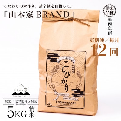 【毎月定期便】南魚沼産コシヒカリ精米5kg【従来品種】山本家全12回