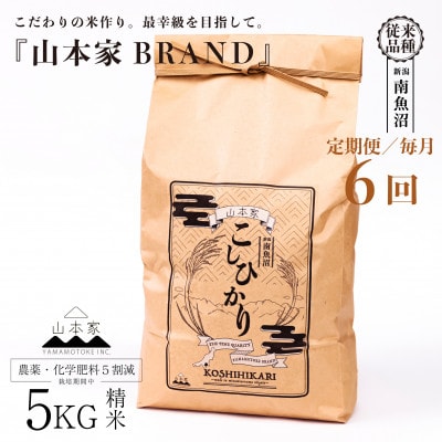 【毎月定期便】南魚沼産コシヒカリ精米5kg【従来品種】山本家全6回