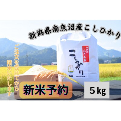 【令和7年産・新米予約】新潟県南魚沼市の豊かな自然が育んだ、極上のコシヒカリ　5kg