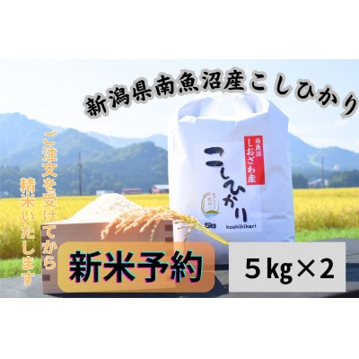 【令和7年産・新米予約】新潟県南魚沼市の豊かな自然が育んだ、極上のコシヒカリ　10kg