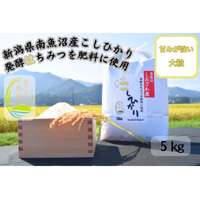 南魚沼産塩沢はちみつ米 5kg