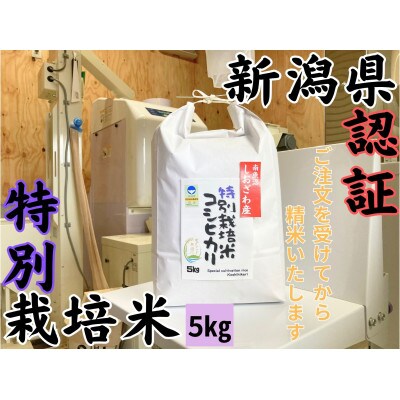 新潟県南魚沼 しおざわ産特別栽培米コシヒカリ 5kg