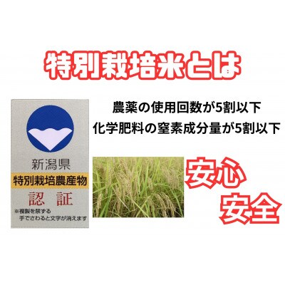 新潟県南魚沼 しおざわ産特別栽培米コシヒカリ 5kg