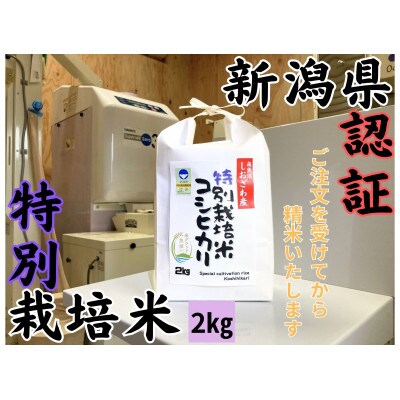 新潟県南魚沼 しおざわ産特別栽培米コシヒカリ 2kg