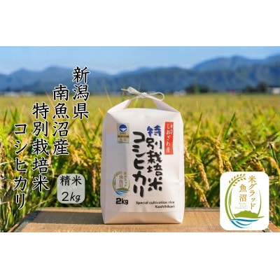 安心安全の新潟県南魚沼産特別栽培米コシヒカリ　2kg　新潟県認証