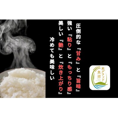 新潟県南魚沼産　新之助　5kg　大粒でツヤがあるこれまでにないお米