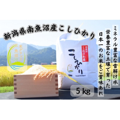 南魚沼産塩沢コシヒカリ 5kg