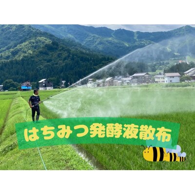 【令和7年産・新米予約】新潟県南魚沼産(塩沢地区)はちみつ米コシヒカリ精米2kg※蜂蜜発酵液肥料栽培