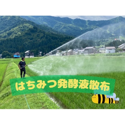 【令和7年産・新米予約】新潟県南魚沼産(塩沢地区)はちみつ米コシヒカリ精米5kg※蜂蜜発酵液肥料栽培