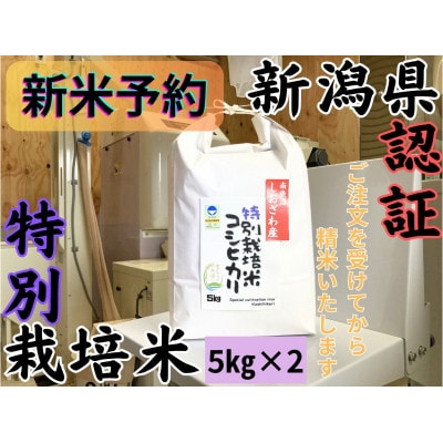 【令和7年産・新米予約】安心安全の新潟県南魚沼産特別栽培米コシヒカリ　10kg