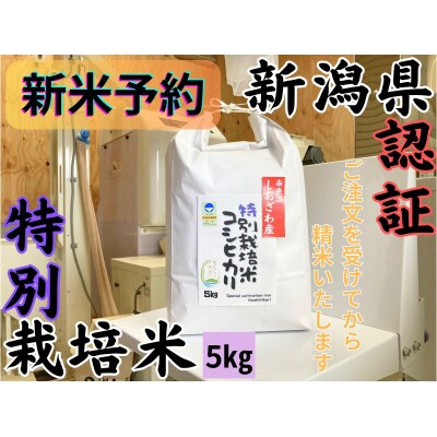 【令和7年産・新米予約】安心安全の新潟県南魚沼産特別栽培米コシヒカリ　5kg