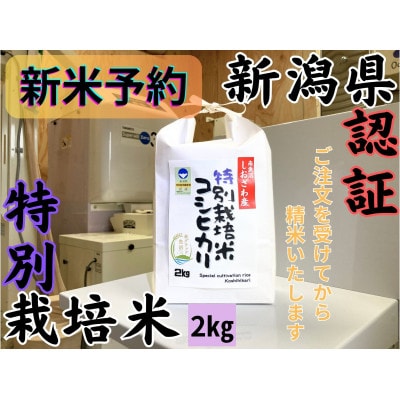 【令和7年産・新米予約】安心安全の新潟県南魚沼産特別栽培米コシヒカリ　2kg