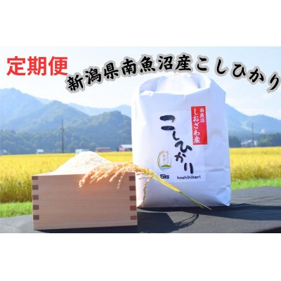 【毎月定期便】南魚沼しおざわ産　コシヒカリ　5kg×全6回