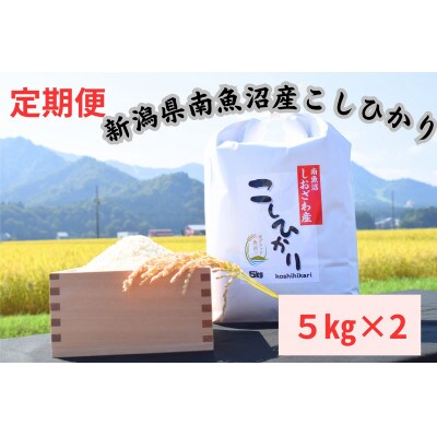 【毎月定期便】南魚沼しおざわ産　コシヒカリ　10kg×全3回
