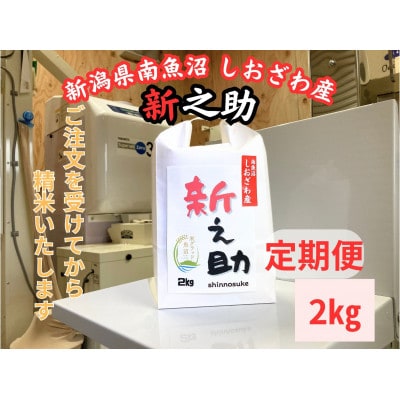 【毎月定期便】南魚沼しおざわ産新之助　2kg×全12回