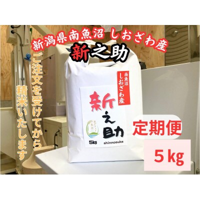 【毎月定期便】南魚沼しおざわ産新之助　5kg×全3回