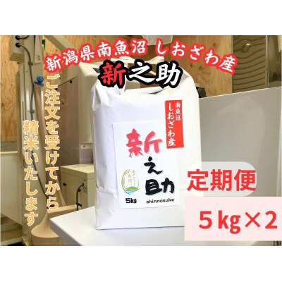 【毎月定期便】南魚沼しおざわ産新之助　10kg×全3回