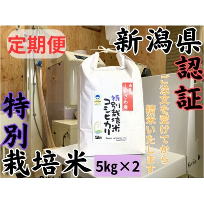 【毎月定期便】新潟県南魚沼 しおざわ産特別栽培米コシヒカリ 10kg×全12回