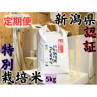 【毎月定期便】新潟県南魚沼 しおざわ産特別栽培米コシヒカリ 5kg×全3回