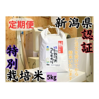 【毎月定期便】新潟県南魚沼 しおざわ産特別栽培米コシヒカリ 5kg×全6回