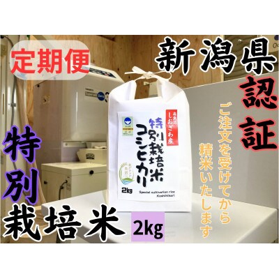 【毎月定期便】新潟県南魚沼 しおざわ産特別栽培米コシヒカリ 2kg×全12回