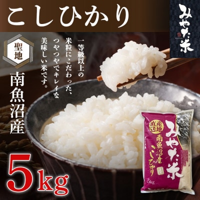 【令和8年産新米予約】南魚沼産こしひかり　みやた米5kg　新潟県南魚沼市