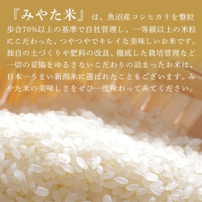 【令和8年産新米予約】南魚沼産こしひかり　みやた米10kg(5kg×2袋)新潟県南魚沼市