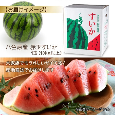 【先行受付】 八色原産 赤玉すいか 大玉 10kg以上 1玉  新潟県 南魚沼市