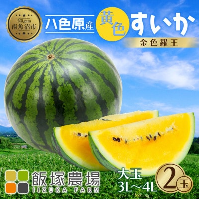 先行受付 八色原産 金色羅王 3～4L 2玉 すいか 黄色 新潟県 南魚沼市