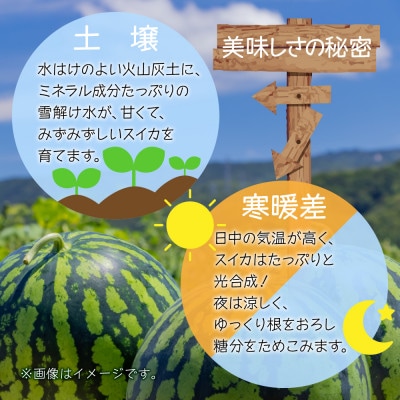 先行受付 八色原産 金色羅王 3～4L 2玉 すいか 黄色 新潟県 南魚沼市