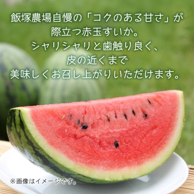 先行受付 八色原産 赤玉&黄色すいか 2～4L 計2玉 金色羅王 食べ比べ 新潟県 南魚沼市